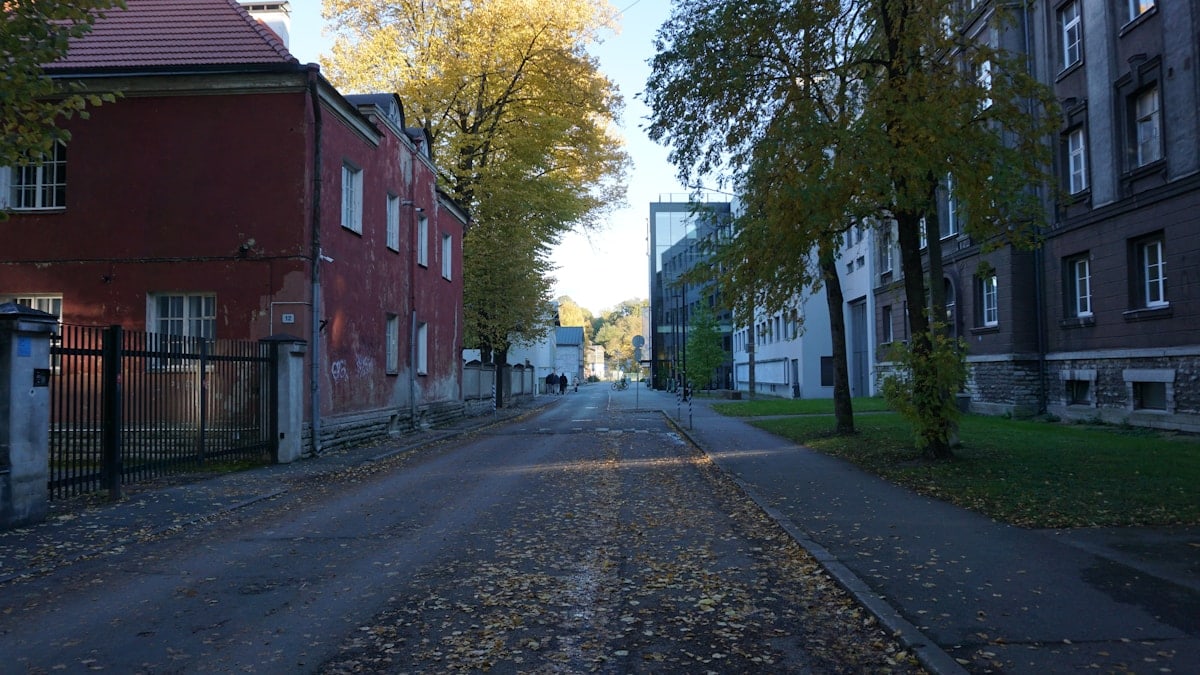Quiet street with old buildings and trees in autumn.